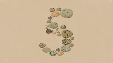 Anthropic выпустила Claude Opus 5 — новый флагман по цене предыдущей модели