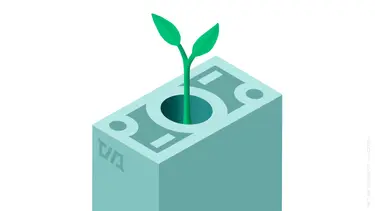 Переход на российские IT-сертификаты потребует крупных вложений