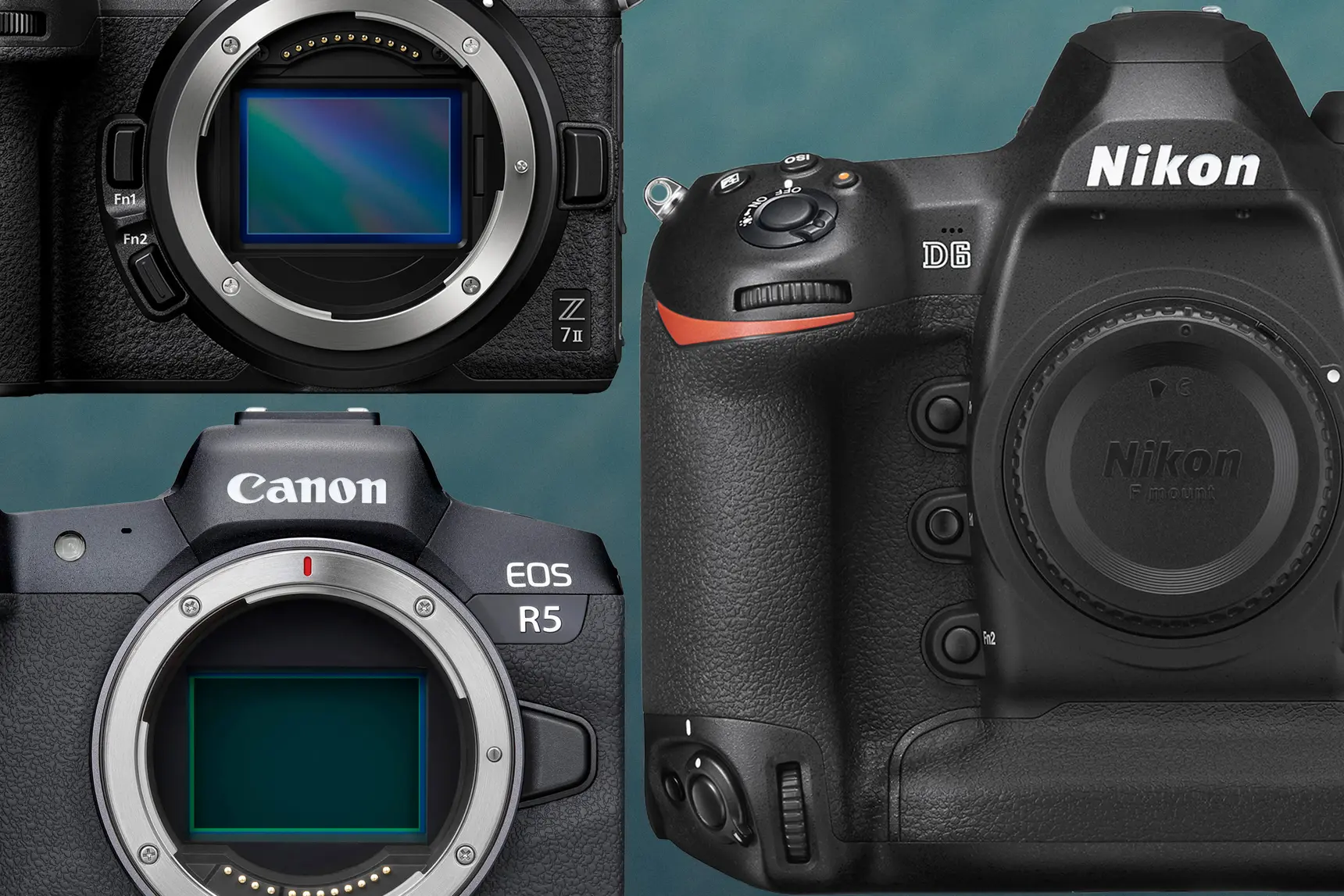 На изображении представлены три фотоаппарата: Canon EOS R5, Nikon D6 и Nikon Z7II.