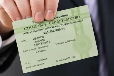 СНИЛС в 2026 году: зачем он нужен, как получить и что делать при утере