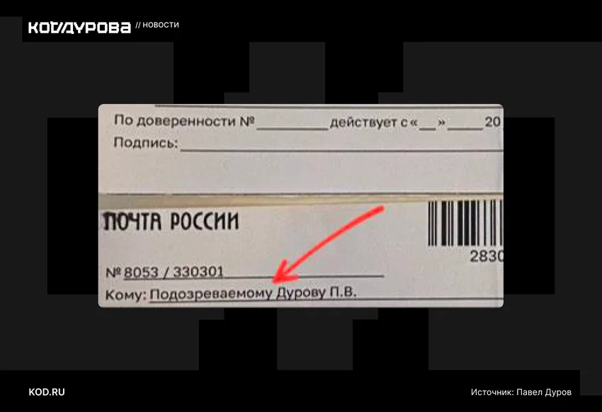 СМИ: действия Павла Дурова расследуются в рамках уголовного дела о содействии терроризму
