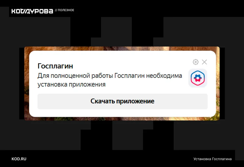 Установка плагина Госуслуги в Яндекс Браузер — пошаговая инструкция