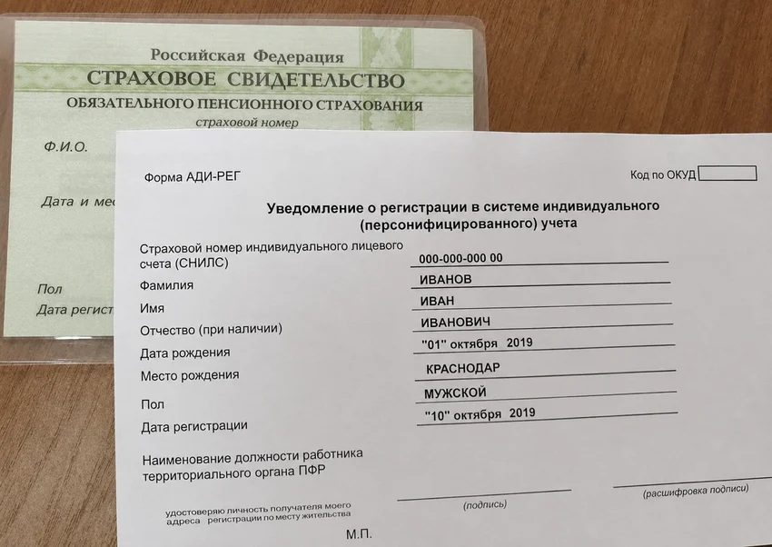 СНИЛС в 2026 году: зачем он нужен, как получить и что делать при утере