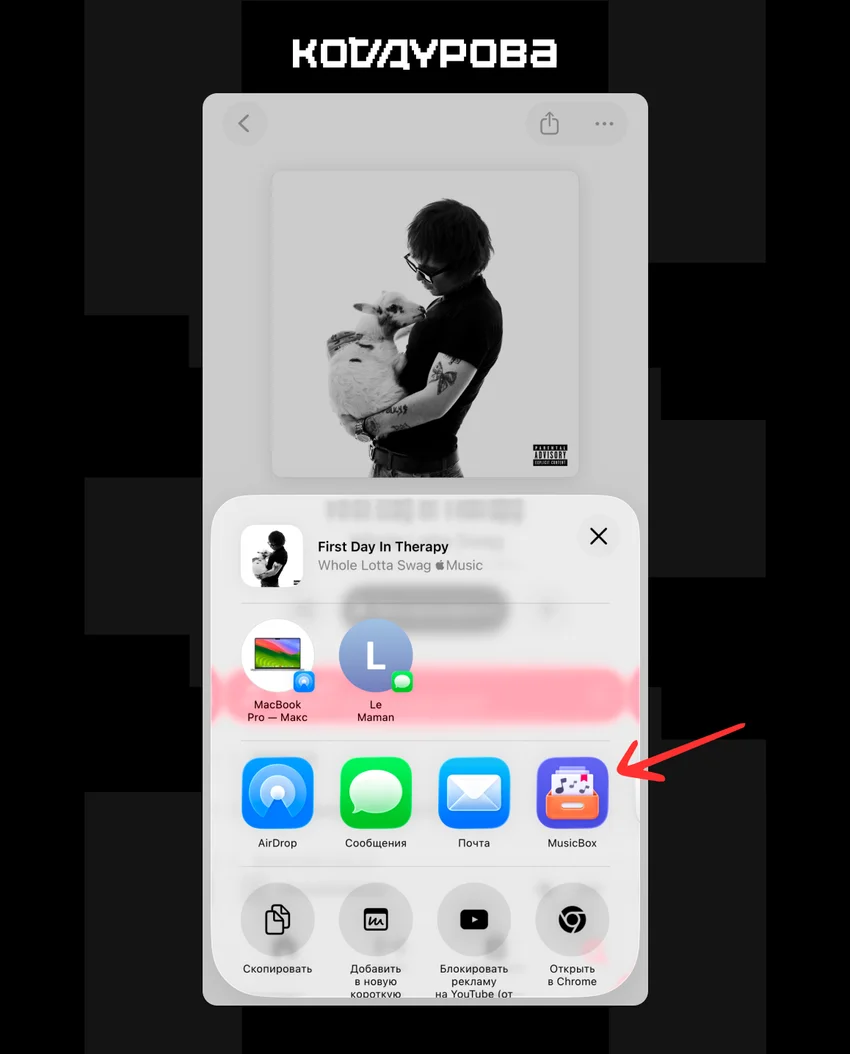Меню Поделиться на iPhone. Красная стрелка указывает на иконку приложения MusicBox.