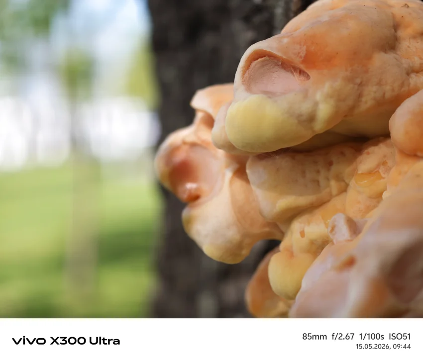 Обзор Vivo X300 Ultra: фотофлагман с уникальными камерами и хорошей автономностью