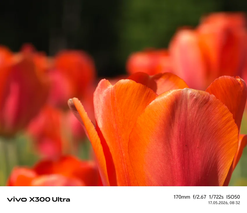 Обзор Vivo X300 Ultra: фотофлагман с уникальными камерами и хорошей автономностью