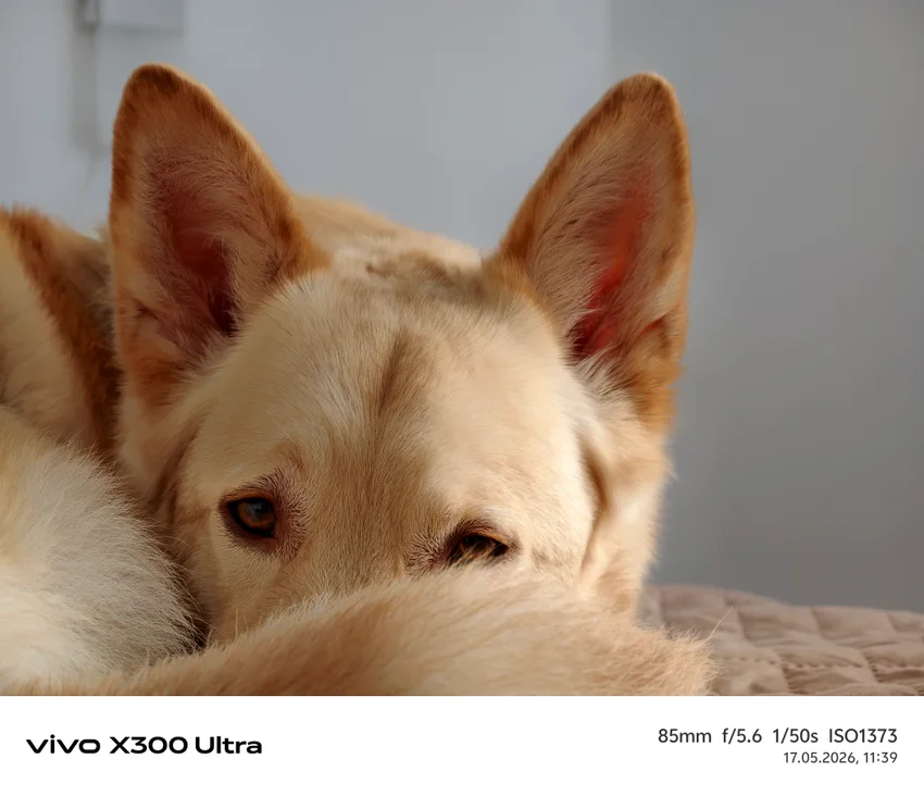 Обзор Vivo X300 Ultra: фотофлагман с уникальными камерами и хорошей автономностью