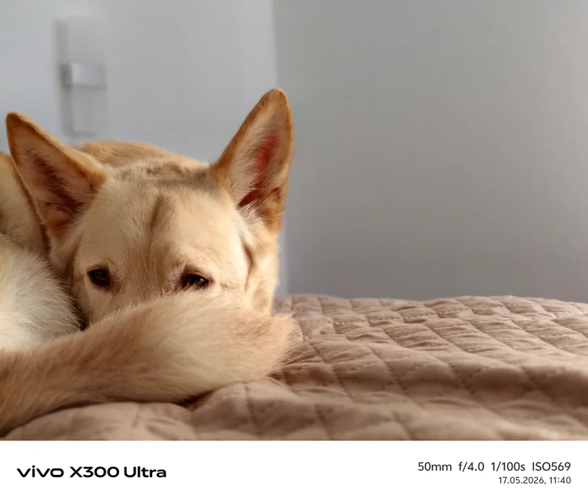 Обзор Vivo X300 Ultra: фотофлагман с уникальными камерами и хорошей автономностью