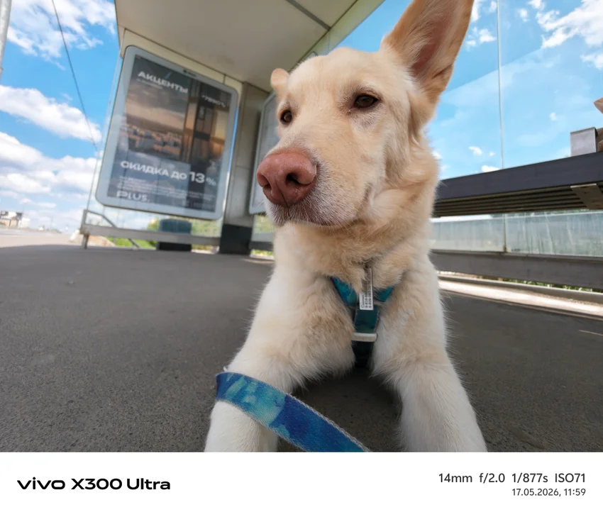 Обзор Vivo X300 Ultra: фотофлагман с уникальными камерами и хорошей автономностью
