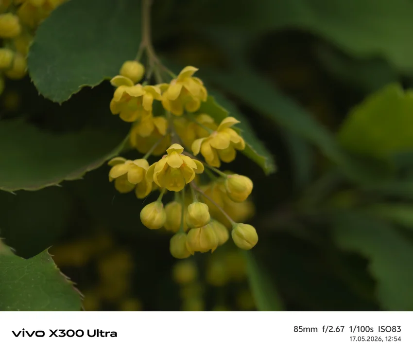Обзор Vivo X300 Ultra: фотофлагман с уникальными камерами и хорошей автономностью