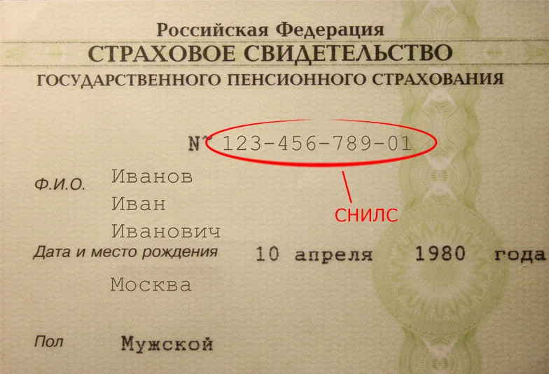 СНИЛС в 2026 году: зачем он нужен, как получить и что делать при утере