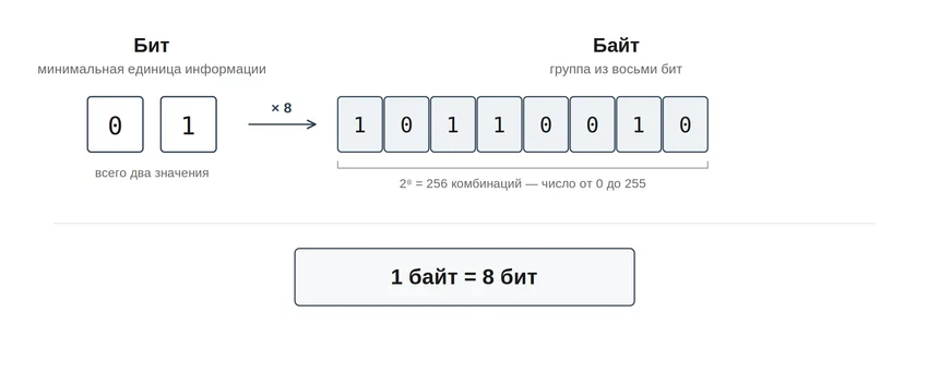 Бит и байт: сколько бит в байте и почему 1 ТБ превращается в 931 ГБ
