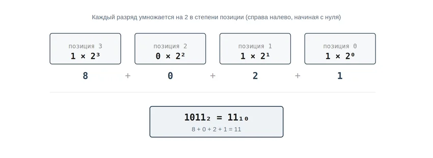 Бит и байт: сколько бит в байте и почему 1 ТБ превращается в 931 ГБ