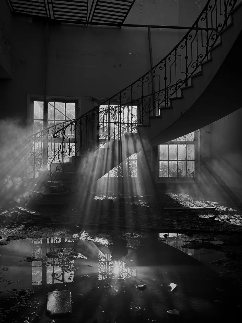 Это стоит поставить на обои! Подборка интересных фото iPhone Photography Awards 2026