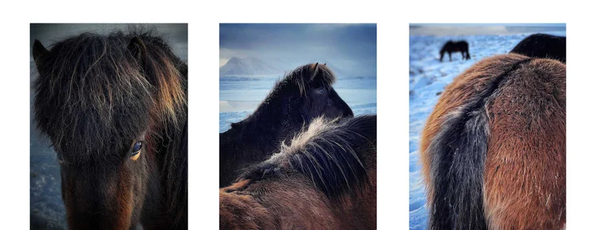 Это стоит поставить на обои! Подборка интересных фото iPhone Photography Awards 2026