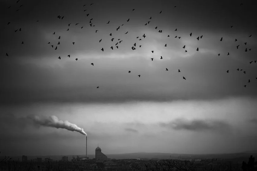 Это стоит поставить на обои! Подборка интересных фото iPhone Photography Awards 2026