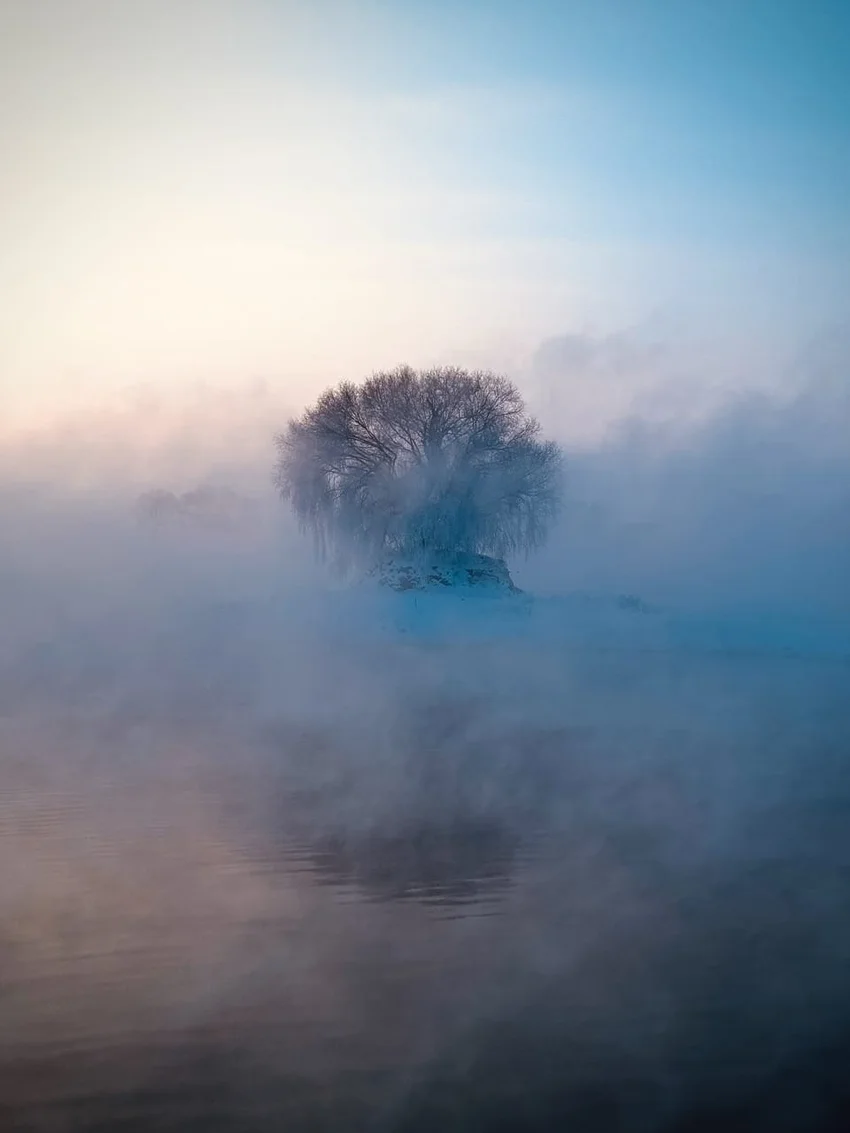 Это стоит поставить на обои! Подборка интересных фото iPhone Photography Awards 2026
