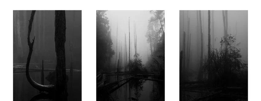 Это стоит поставить на обои! Подборка интересных фото iPhone Photography Awards 2026