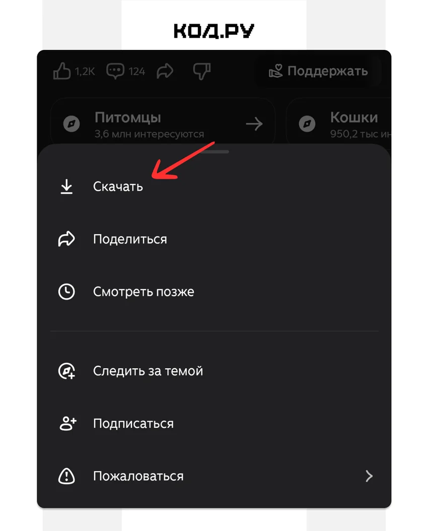 Как скачать видео из Дзена: 7 способов для телефона и компьютера