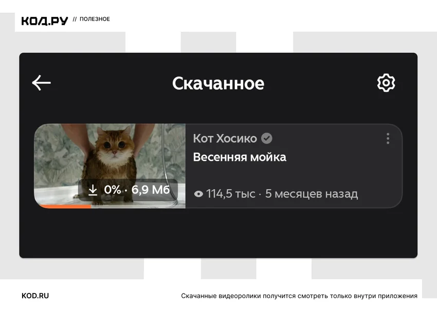 Как скачать видео из Дзена: 7 способов для телефона и компьютера