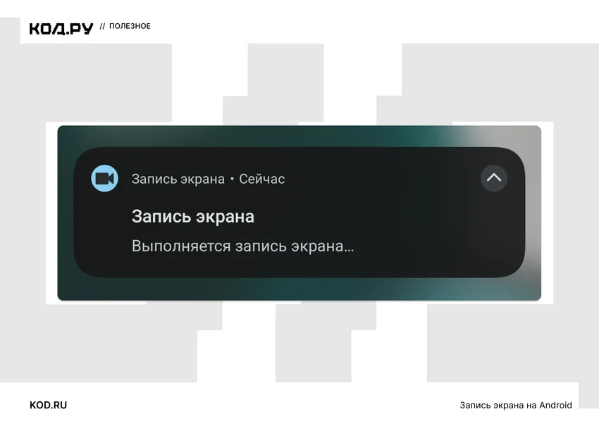 Как скачать видео из Дзена: 7 способов для телефона и компьютера